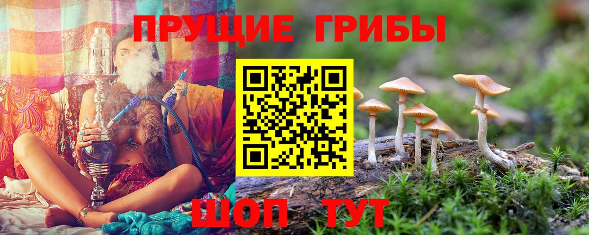 Ликино-Дулёво  Галлюциногенные грибы MAGIC MUSHROOMS  Вход с VPN 