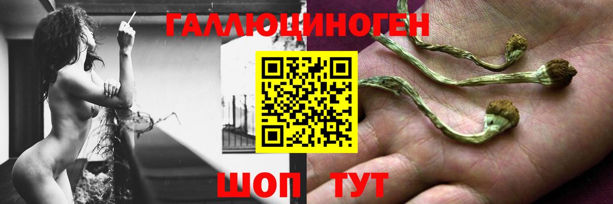 Псилоцибиновые грибы Magic Shrooms Ликино-Дулёво